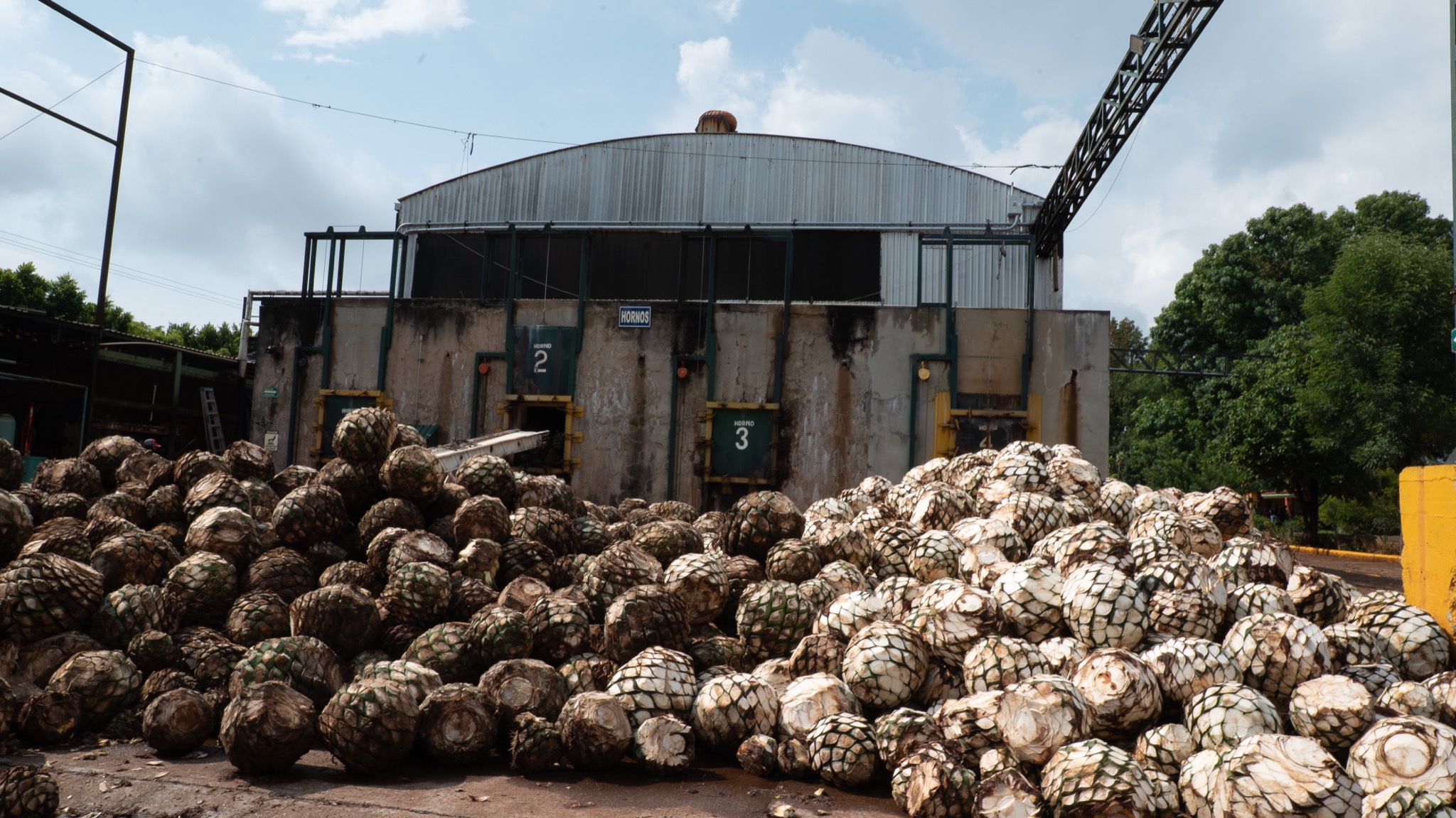 Cienfuegos case study preview