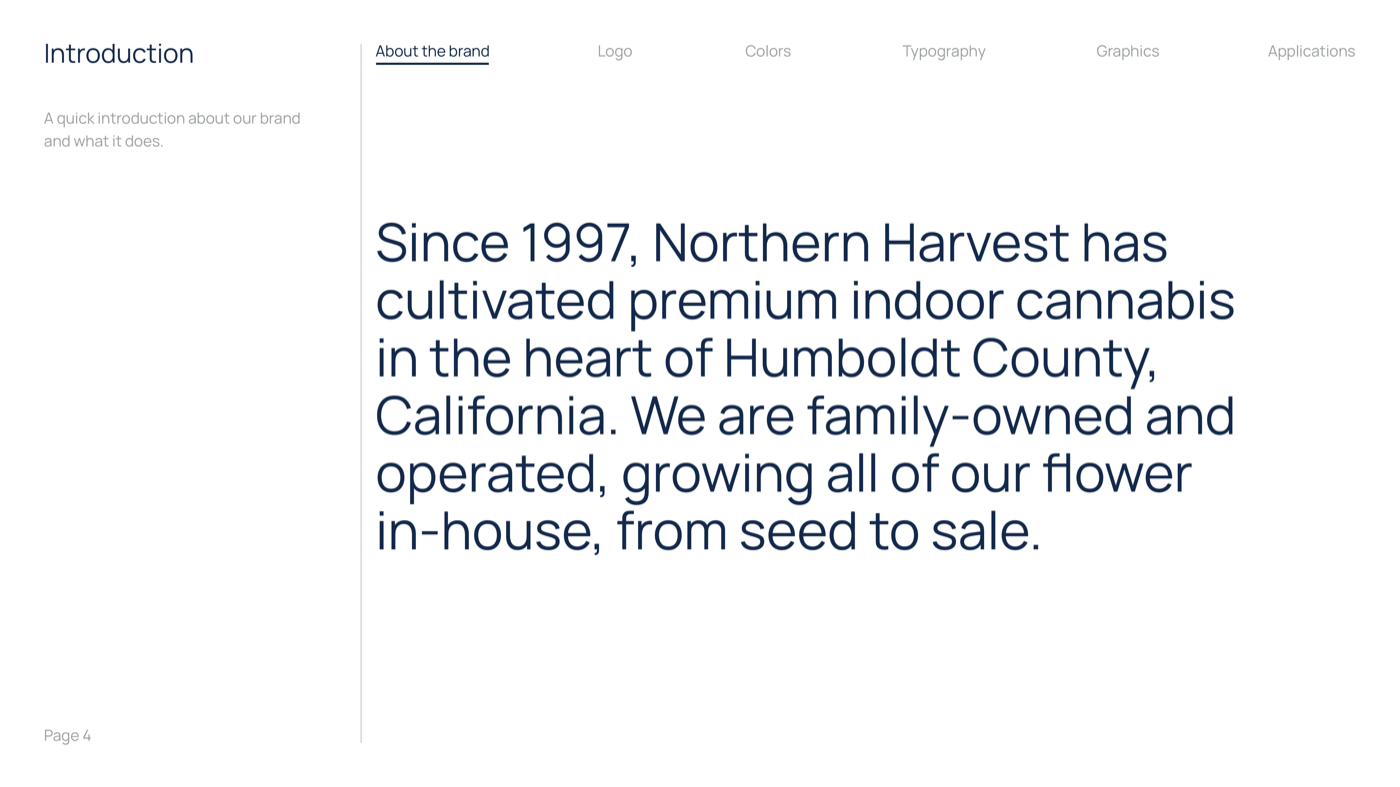 Brand Guidelines 05