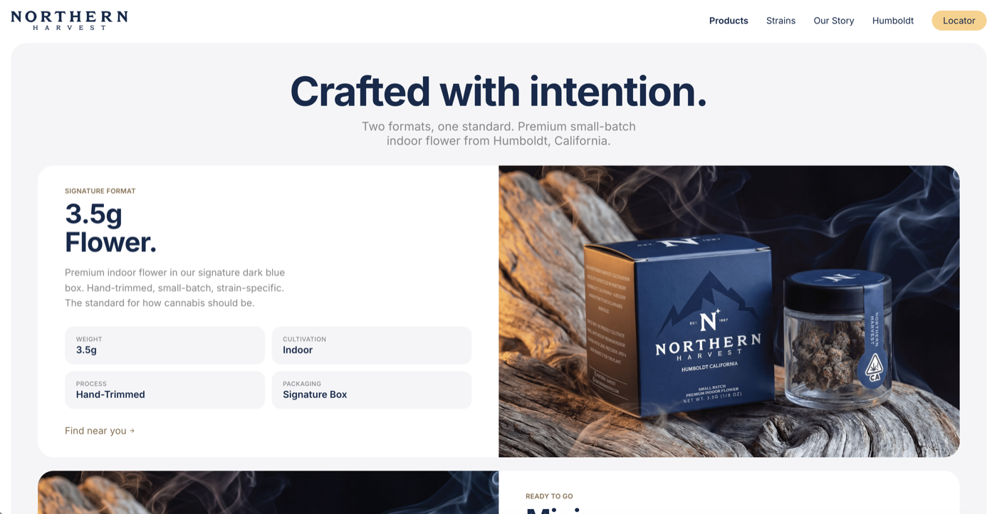 Website 05