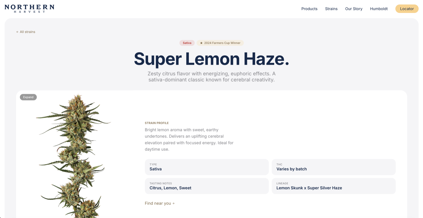 Website 08