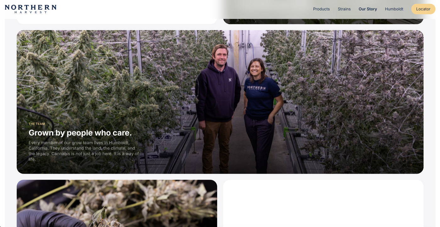 Website 10