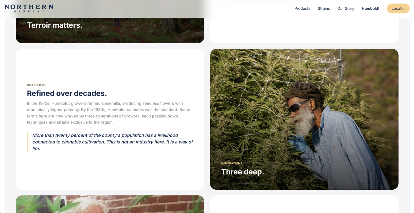 Website 11